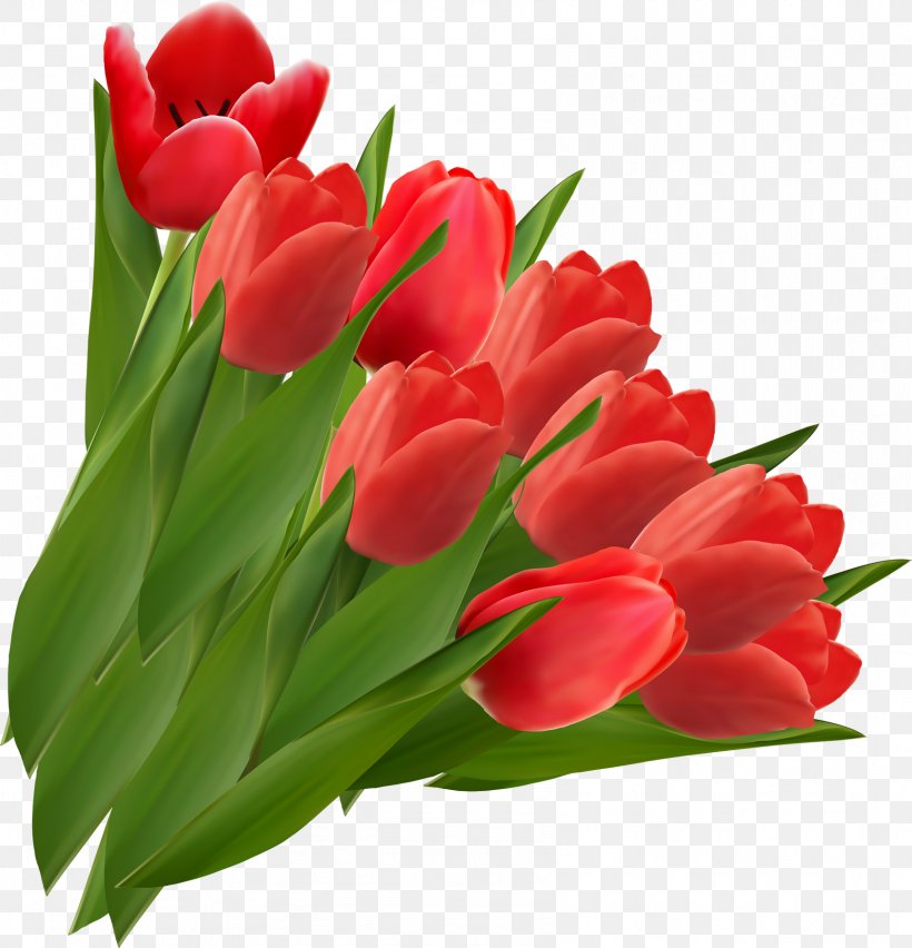 Clip Art Openclipart Tulip Red Flower, PNG, 1686x1752px, Tulip, Cut Flowers, Floral Design, Floristry, Flower Download Free