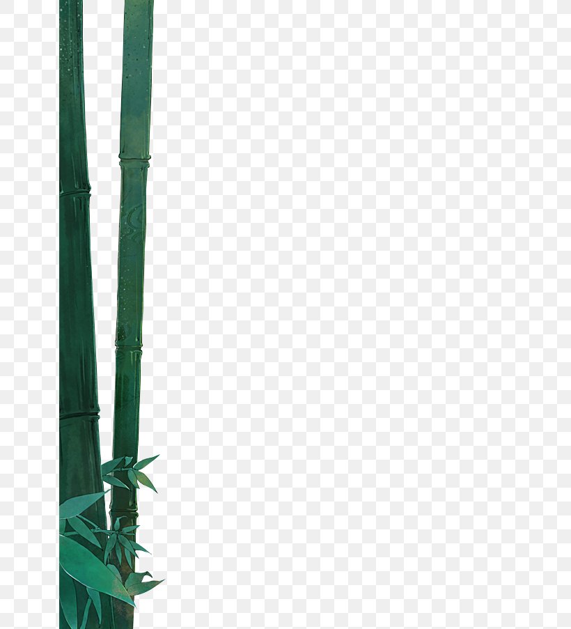 Download Bamboo, PNG, 650x903px, Bamboo, Floor, Grass, Gratis, Green Download Free