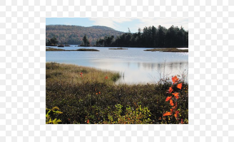 Loch Water Resources Lake District Nature Reserve Plant Community, PNG, 500x500px, Loch, Bog, Community, Floodplain, Inlet Download Free