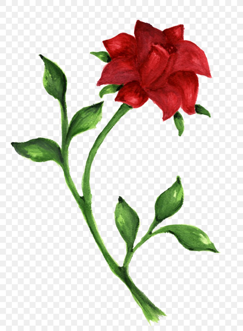 Rose Drawing Desktop Wallpaper Clip Art, PNG, 772x1118px, Rose, Blue Rose, Branch, Bud, Cut Flowers Download Free