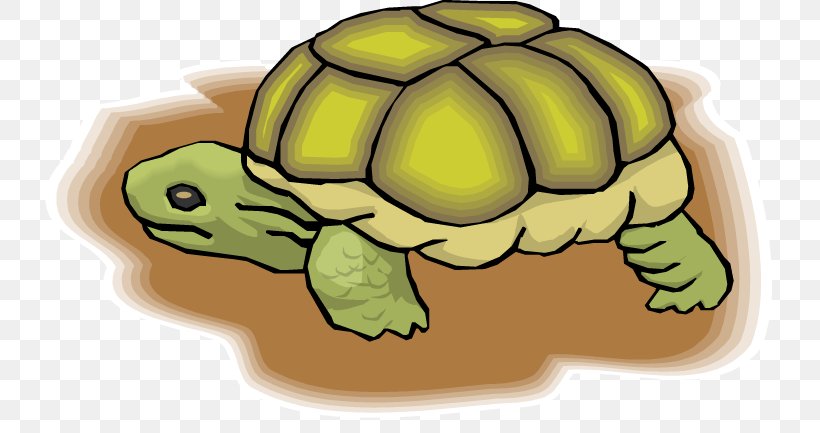 Tortoise Sea Turtle Clip Art Wasserschildkröten, PNG, 750x433px, Tortoise, Bahan, Chaco Tortoise, Fauna, Hand Download Free