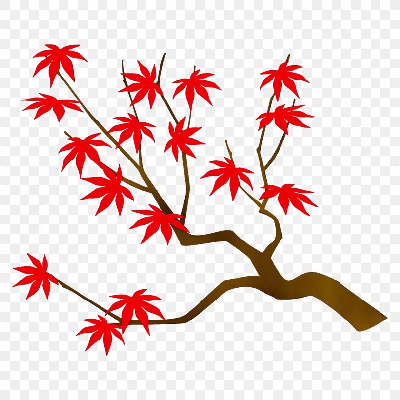 Tree Leaf Plant Black Maple, PNG, 1200x1200px, Watercolor, Black Maple, Leaf, Paint, Plant Download Free