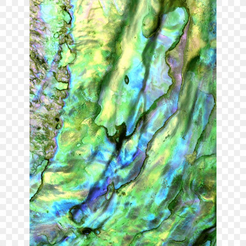 Watercolor Painting Green Acrylic Paint, PNG, 1000x1000px, Watercolor Painting, Acrylic Paint, Acrylic Resin, Algae, Branch Download Free