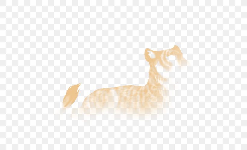 Whiskers Cat Dog Fur Wildlife, PNG, 640x500px, Whiskers, Canidae, Carnivoran, Cat, Cat Like Mammal Download Free