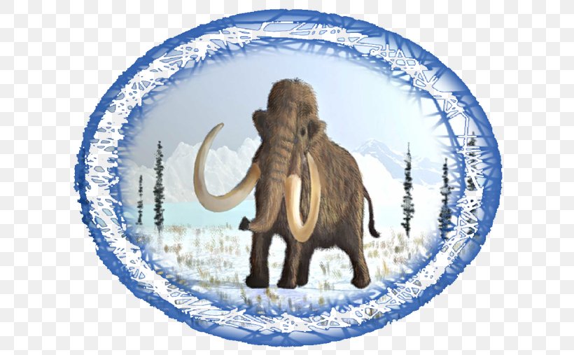 African Elephant T-shirt Indian Elephant La Brea Tar Pits Woolly Mammoth, PNG, 640x507px, African Elephant, Animal, Clothing, Columbian Mammoth, Elephant Download Free