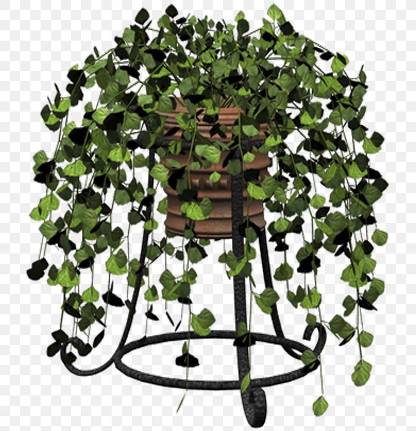 Garden Clip Art, PNG, 725x850px, Garden, Branch, Houseplant, Ivy, Liveinternet Download Free