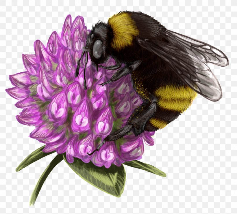 Bumblebee Honey Bee Nectar, PNG, 960x869px, Bumblebee, Arthropod, Bee, Flower, Honey Download Free