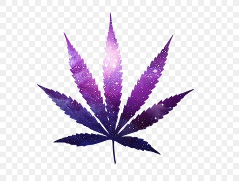 Cannabis Sativa Cannabis Smoking Medical Cannabis Legality Of Cannabis, PNG, 698x621px, Cannabis, Cannabis Cultivation, Cannabis Sativa, Cannabis Smoking, Hemp Download Free