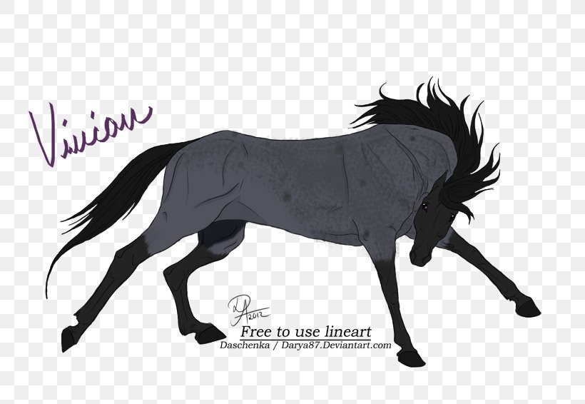 Mustang Stallion Art Pony Mare, PNG, 800x566px, Mustang, Art, Black And White, Bridle, Buckskin Download Free