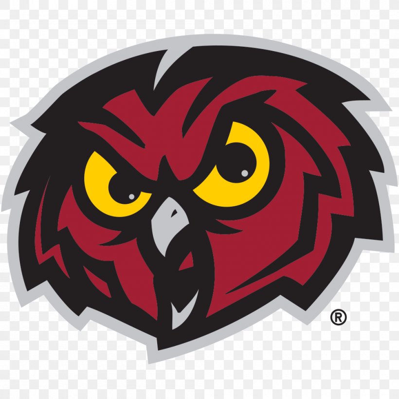 Temple Owls Football Temple Owls Women's Basketball Temple Owls Men's Soccer Temple Owls Men's Basketball, PNG, 1000x1000px, Temple Owls Football, American Football, Bird, Bird Of Prey, College Download Free