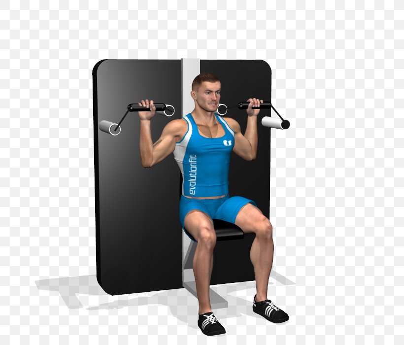 Weight Training Weightlifting Machine Barbell Fitness Centre Calf, PNG, 700x700px, Watercolor, Cartoon, Flower, Frame, Heart Download Free