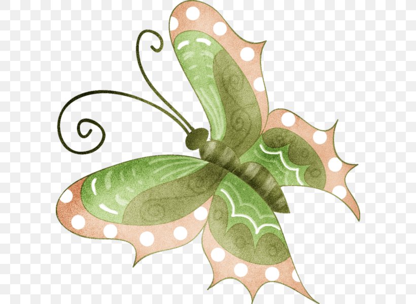 Butterfly Clip Art, PNG, 600x599px, Butterfly, Designer, Flora, Insect, Invertebrate Download Free