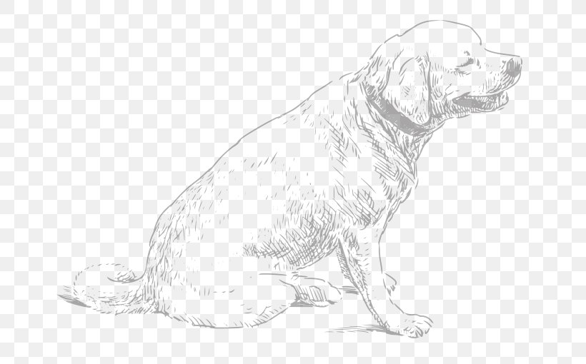 Dog Breed Puppy Retriever Sporting Group Companion Dog, PNG, 710x510px, Dog Breed, Artwork, Black And White, Breed, Carnivoran Download Free