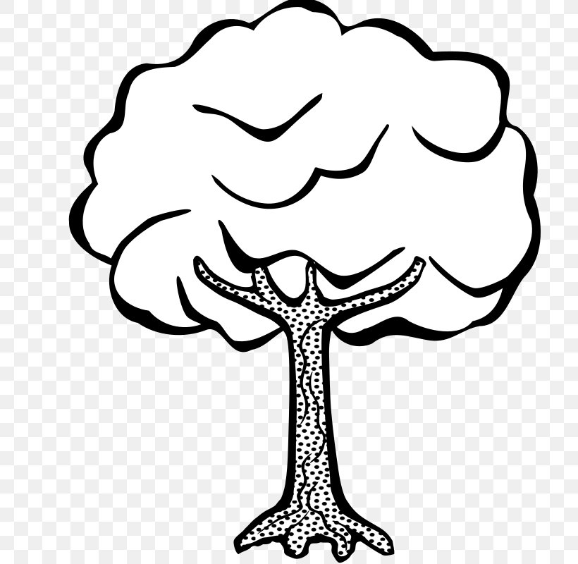 Line Art Draw Trees Drawing Clip Art, PNG, 800x800px, Line Art, Area, Artwork, Black And White, Color Download Free