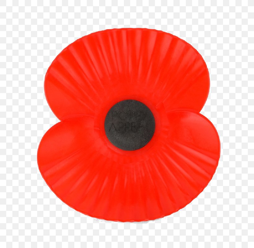 Remembrance Poppy Armistice Day Common Poppy The Royal British Legion, PNG, 800x800px, Poppy, Armistice Day, Common Poppy, Coquelicot, Flower Download Free