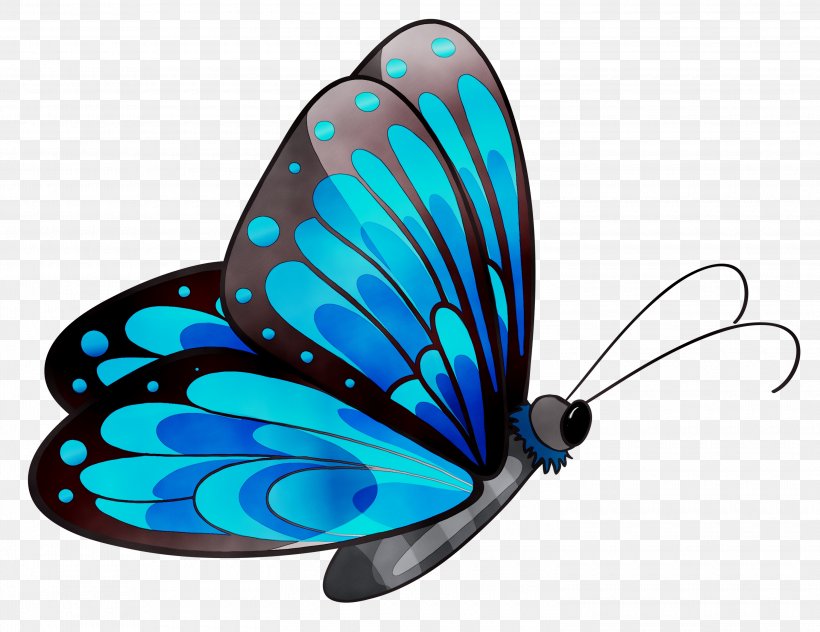 Butterfly Clip Art Image Transparency, PNG, 3000x2314px, Butterfly, Azure, Blue, Brushfooted Butterfly, Glasswing Butterfly Download Free
