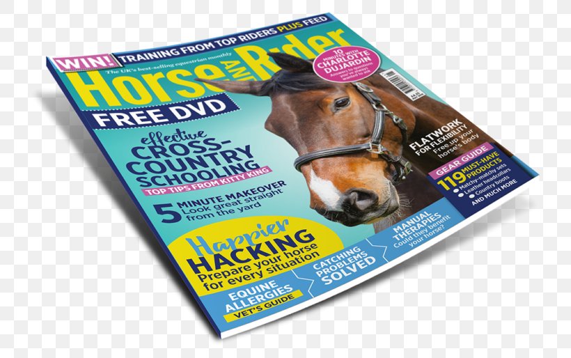 Horse&Rider Equestrian Horse Show Magazine, PNG, 767x514px, Horse, Advertising, Brand, Door, Equestrian Download Free