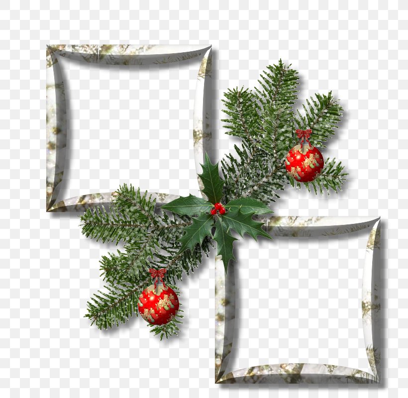 Picture Frames Christmas Clip Art, PNG, 800x800px, Picture Frames, Christmas, Christmas Card, Christmas Decoration, Christmas Ornament Download Free