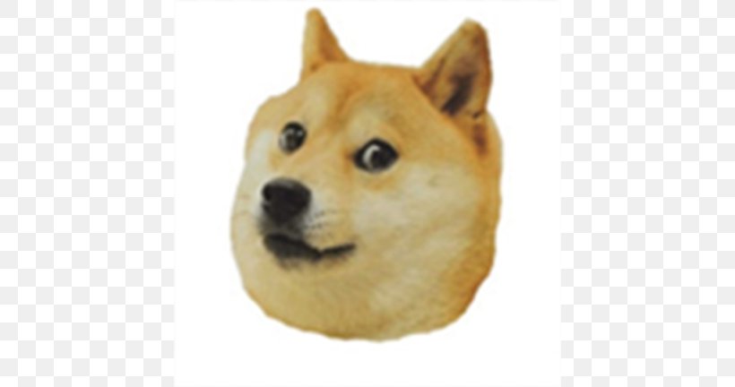 Shiba Inu Dogecoin Bumper Sticker, PNG, 768x432px, Shiba Inu, Bumper Sticker, Carnivoran, Companion Dog, Decal Download Free