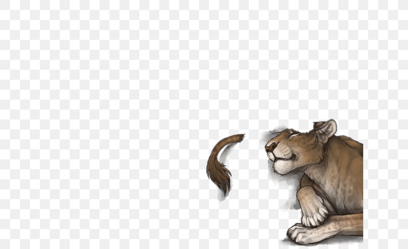 Whiskers Cougar Lion Cat Roar, PNG, 640x500px, Whiskers, Big Cat, Big Cats, Canidae, Carnivoran Download Free