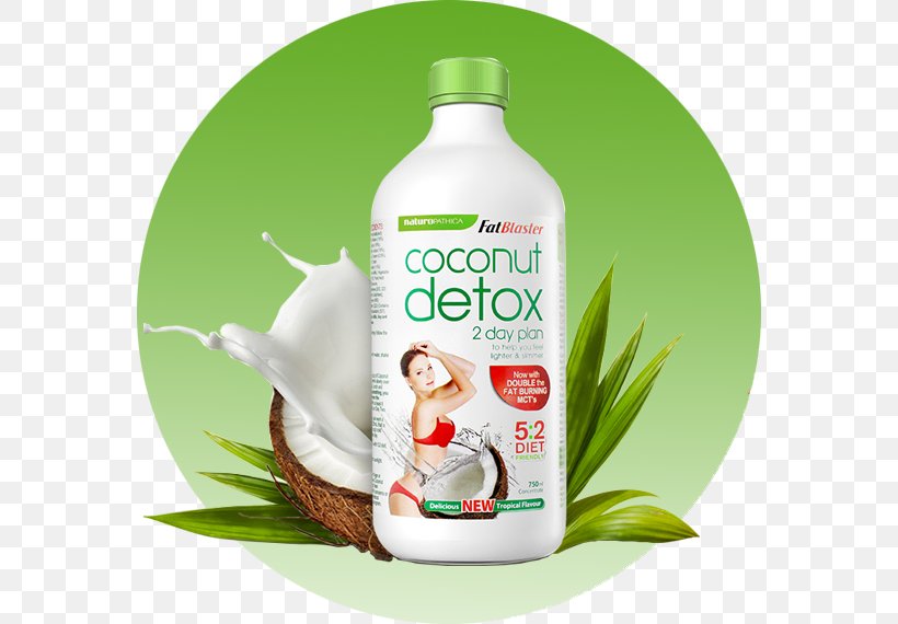 Detoxification Food Poison Drink Coconut, PNG, 642x570px, Detoxification, Bacteria, Coconut, Drink, Drinking Water Download Free