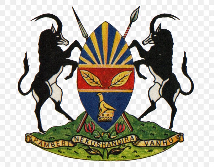 Harare Coat Of Arms Of Zimbabwe Libreville Flag Of Zimbabwe, PNG, 879x687px, Harare, Art, Capital City, Capital Of The Netherlands, City Download Free