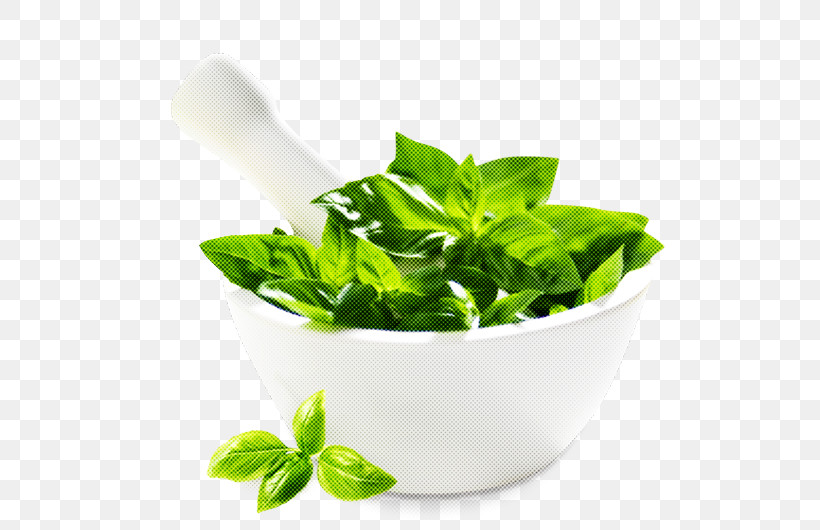 Leaf Herbal Basil Plant Food, PNG, 513x530px, Leaf, Basil, Flower, Food, Herb Download Free