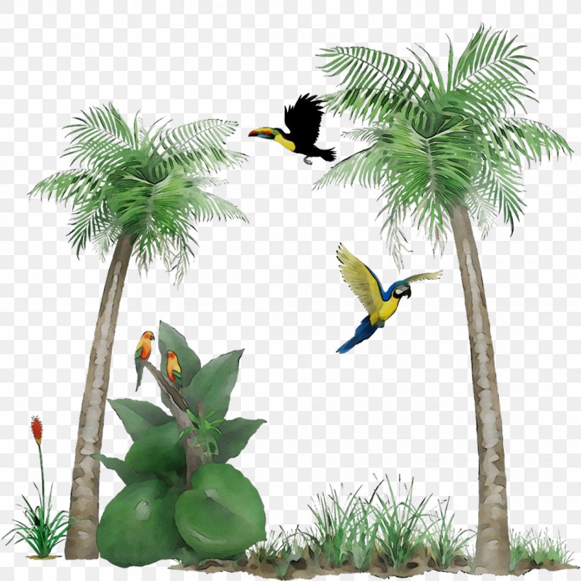Mural Plants Wall Decal Palm Trees, PNG, 1136x1136px, Mural, Arecales, Bird, Botany, Decal Download Free