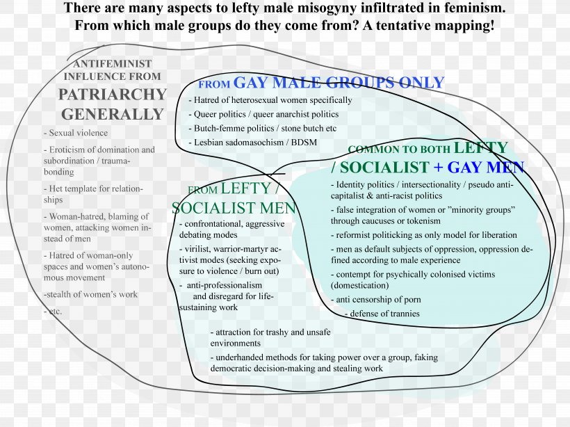 Radical Feminism Intersectionality Feminist Theory Women Against Feminism, PNG, 4982x3736px, Feminism, Antifeminism, Area, Culture, Diagram Download Free