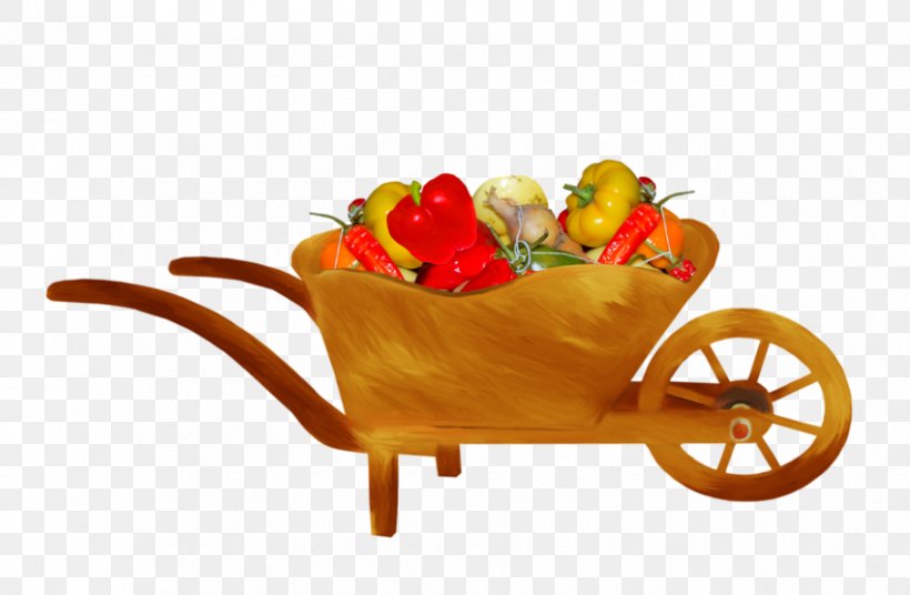 Vegetable Fruit Cart Drawing Vegetarian Cuisine, PNG, 850x556px, Vegetable, Cart, Cartoon, Cauliflower, Diet Food Download Free