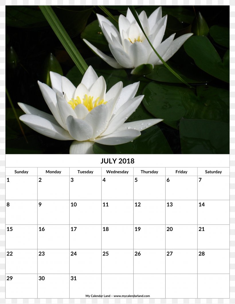 Calendar 0 Template Month, PNG, 2550x3300px, 2018, Calendar, August, Document, Flora Download Free
