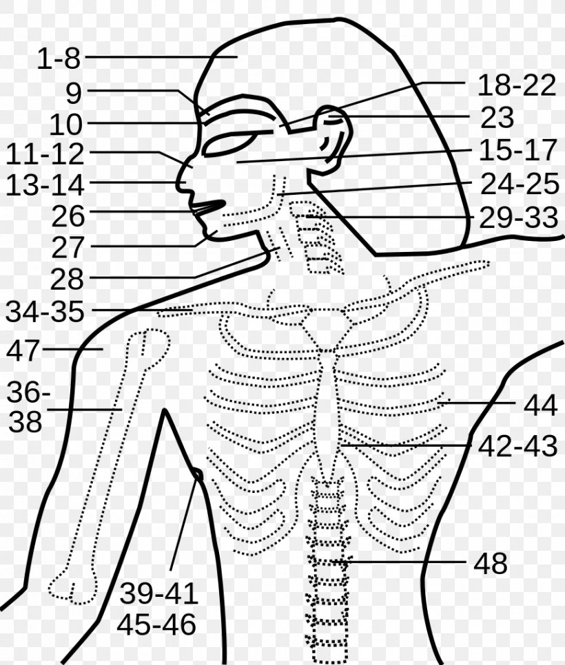 Edwin Smith Papyrus Ancient Egypt Treatise Medicine, PNG, 869x1024px, Watercolor, Cartoon, Flower, Frame, Heart Download Free