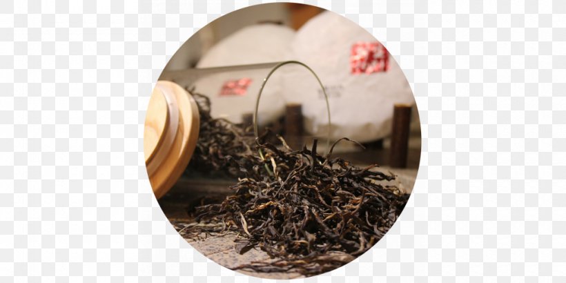 Green Tea Bubble Tea White Tea Camellia Sinensis, PNG, 1000x500px, Tea, Black Tea, Bubble Tea, Camellia Sinensis, Chinese Tea Download Free