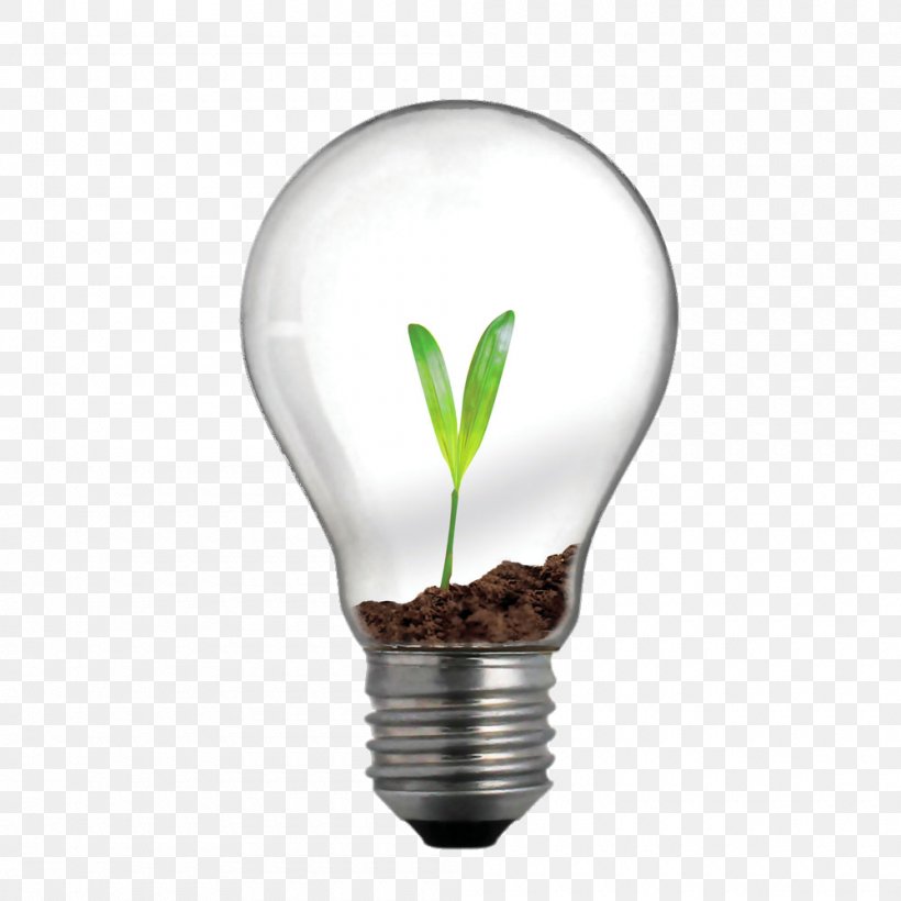 Incandescent Light Bulb Lighting Innovation Business, PNG, 1000x1000px, Light, Bulb, Business, Creativity, Energy Download Free