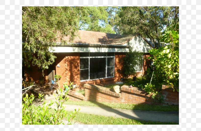 Window Shed Shade Property Tree, PNG, 800x533px, Window, Backyard, Cottage, Home, House Download Free