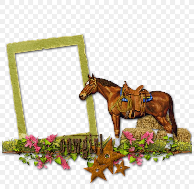 Picture Frames Horse Clip Art, PNG, 800x800px, Picture Frames, Computer, Computer Network, Editing, Film Frame Download Free
