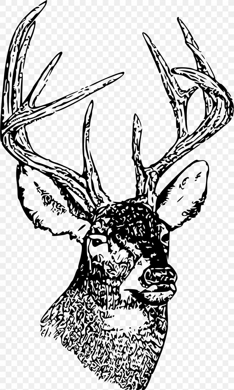 White-tailed Deer Moose Clip Art, PNG, 1439x2394px, Deer, Antler, Art, Artist, Artwork Download Free