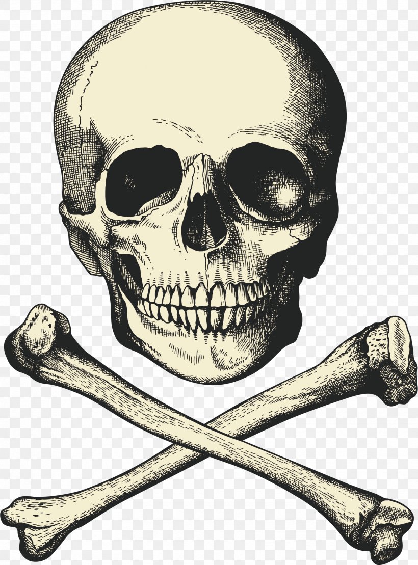 Captain Hook Piracy Buried Treasure Ship, PNG, 1758x2378px, Captain Hook, Bone, Buried Treasure, Graphic Arts, Head Download Free