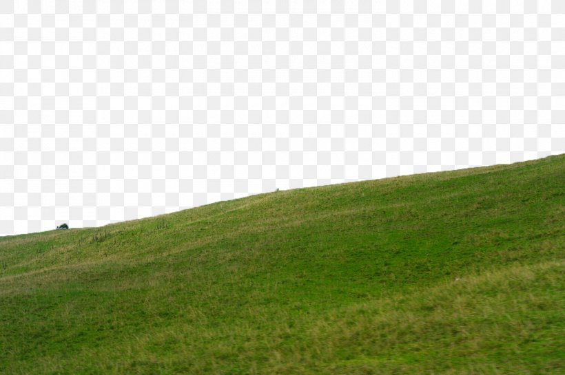 Grass On The Slope, PNG, 1500x997px, Lawn, Field, Grass, Grassland, Green Download Free