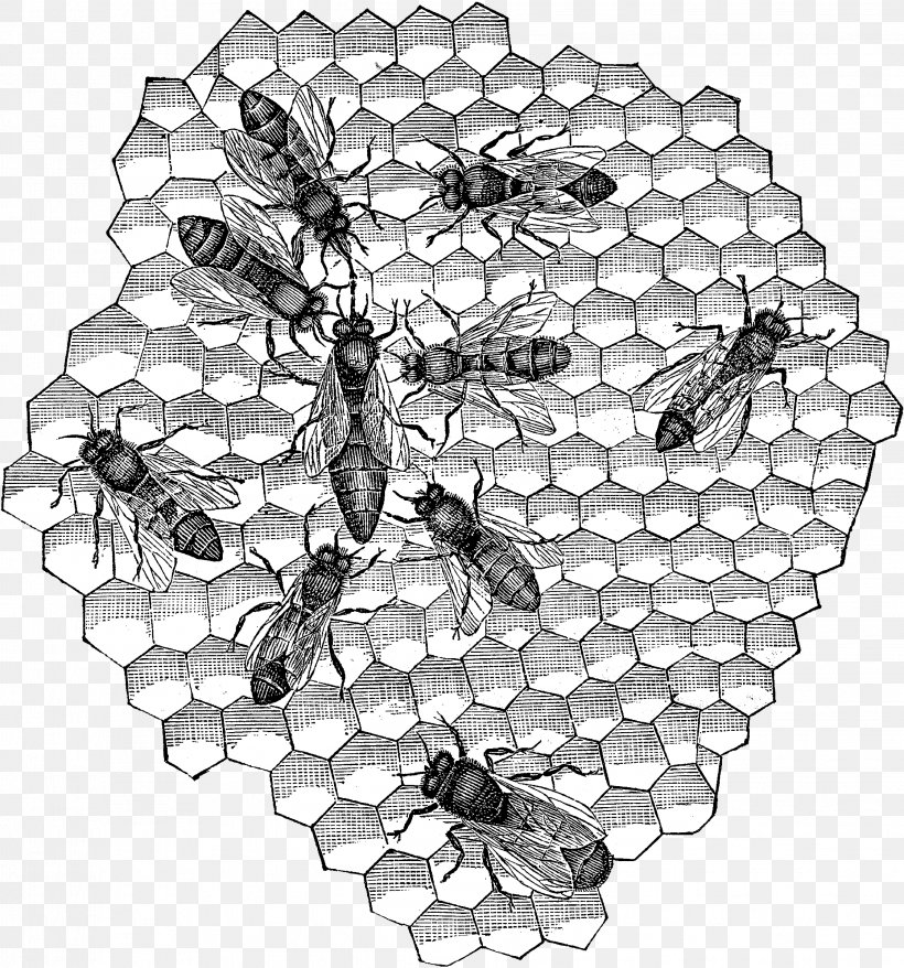 Honey Bee Black & White, PNG, 2241x2400px, Honey Bee, Bee, Black White M, Blackandwhite, Flower Download Free