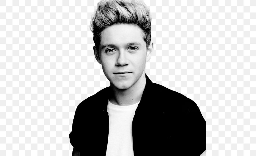 Niall Horan One Direction Poster Image Black And White, PNG, 500x500px, Watercolor, Cartoon, Flower, Frame, Heart Download Free