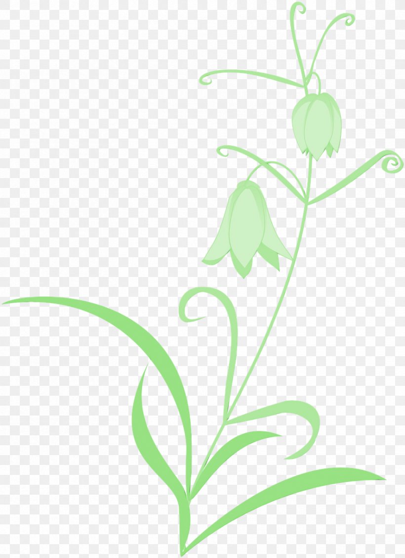 Plant Flower Leaf Flowering Plant Pedicel, PNG, 884x1217px, Watercolor, Flower, Flowering Plant, Fritillaria, Grass Download Free