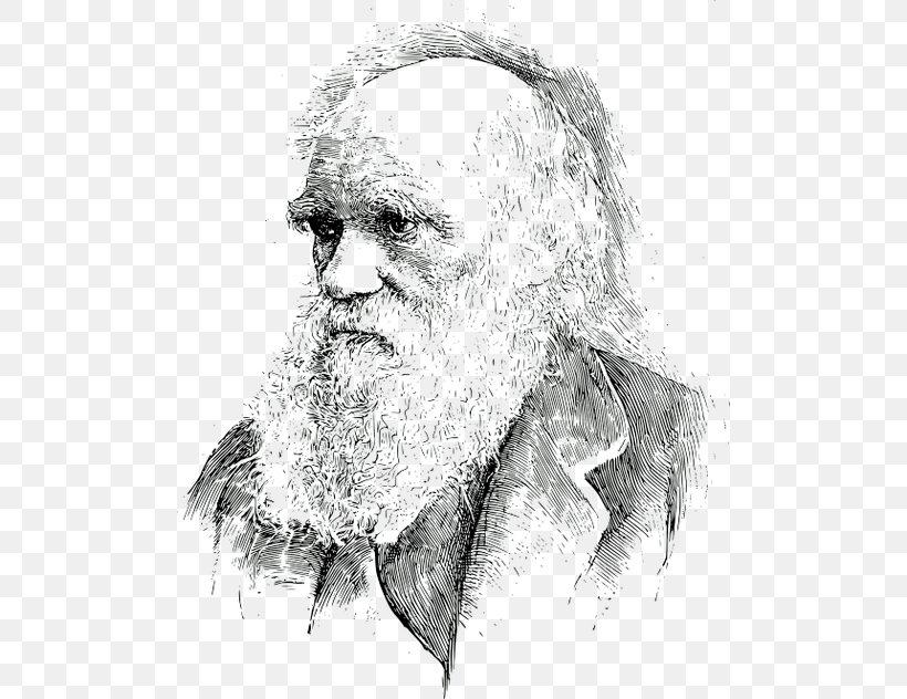 What Darwin Got Wrong Charles Darwin: Victorian Mythmaker Evolution Biology Darwinism, PNG, 500x632px, What Darwin Got Wrong, Art, Artwork, Beard, Biology Download Free