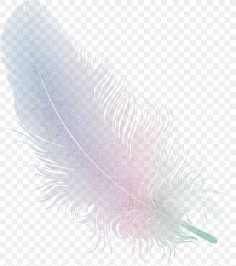 Bird Feather Wing Quill Close-up, PNG, 1063x1200px, Bird, Animal, Closeup, Feather, Quill Download Free
