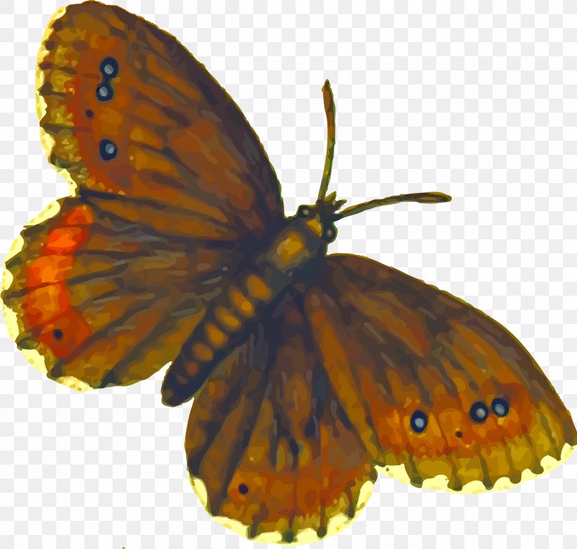 Butterfly Insect Clip Art, PNG, 2400x2283px, Butterfly, Animal, Arthropod, Brush Footed Butterfly, Butterflies And Moths Download Free