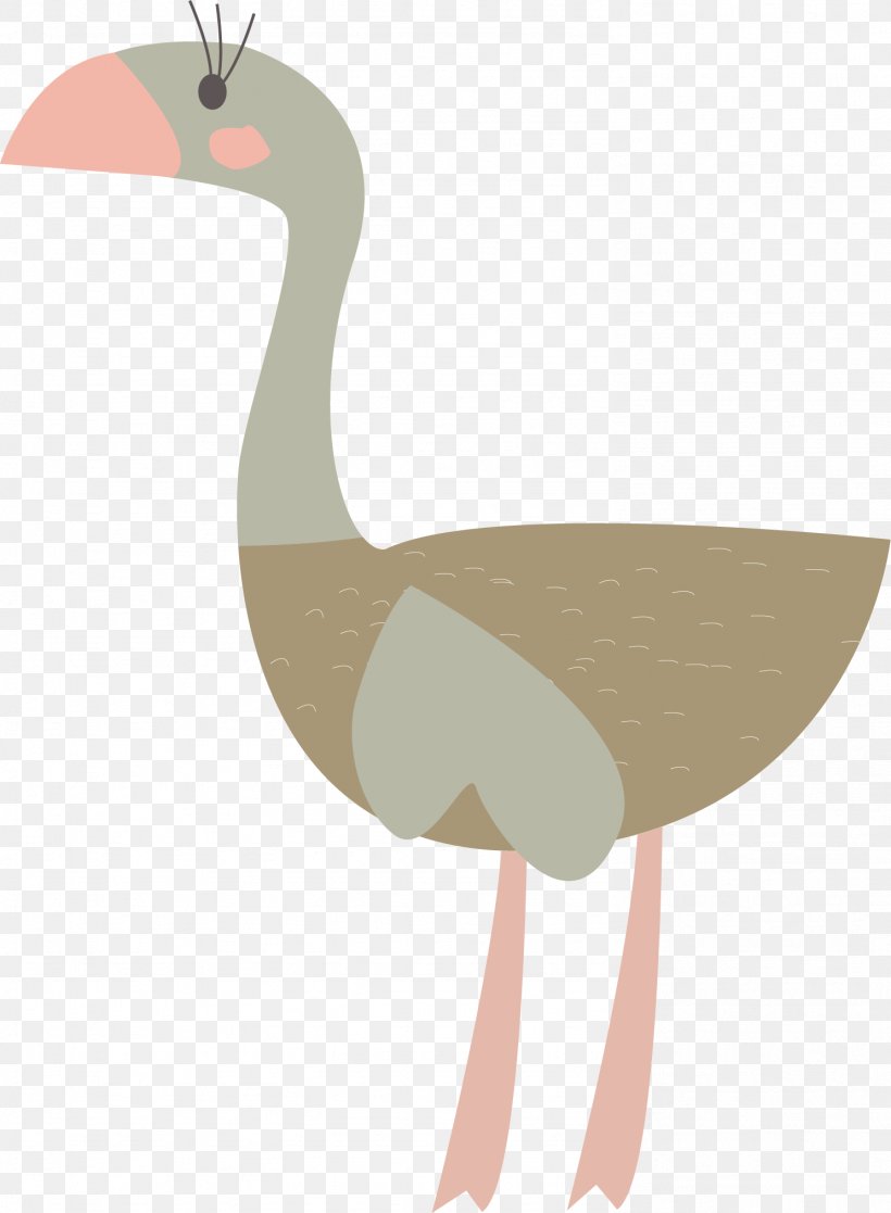 Duck, PNG, 1487x2027px, Duck, Beak, Beige, Bird, Computer Graphics Download Free