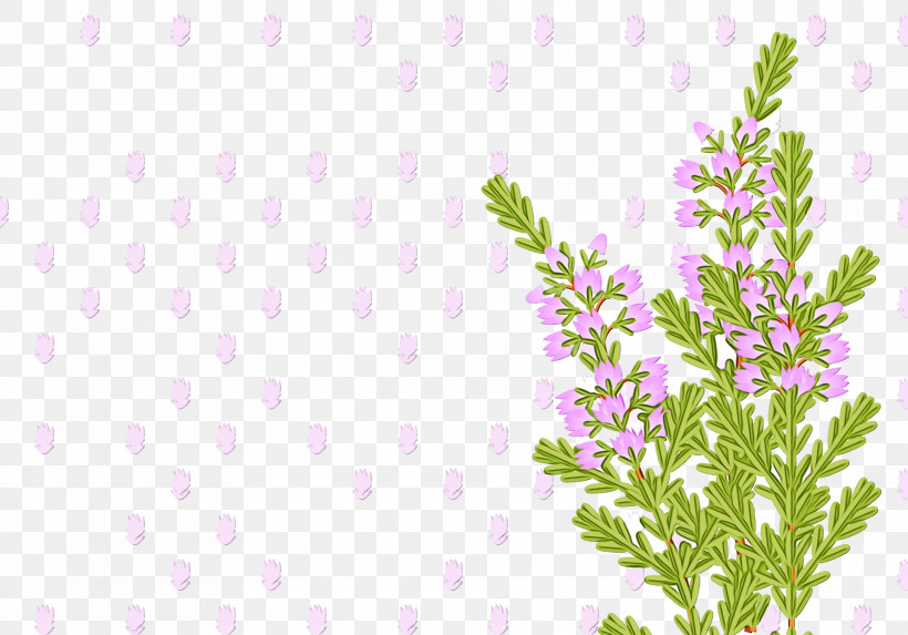 Floral Design, PNG, 1920x1342px, Watercolor, Branch, Floral Design, Lavender, Leaf Download Free