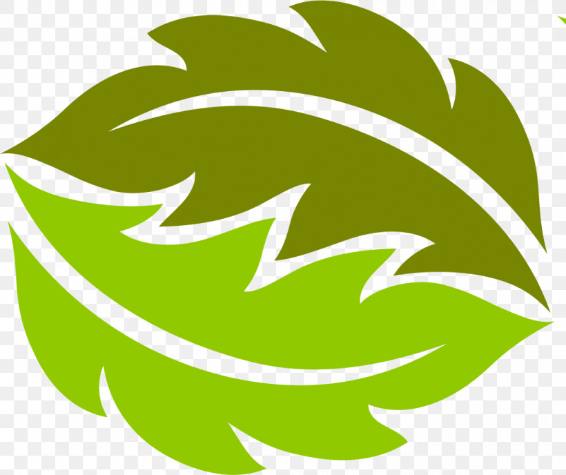 Leaf Plant Stem Logo Flower Green, PNG, 1055x886px, Leaf, Biology, Flower, Green, Line Download Free