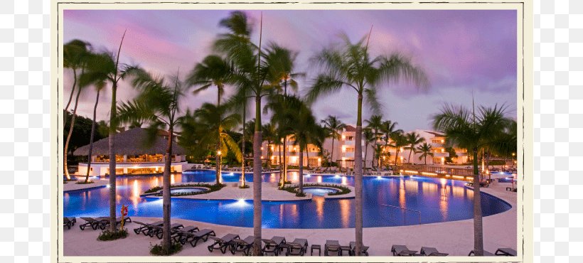 Occidental Punta Cana Hilton Hawaiian Village Hotel Beach Trivago NV, PNG, 800x370px, Hilton Hawaiian Village, Allinclusive Resort, Arecales, Bavaro, Beach Download Free