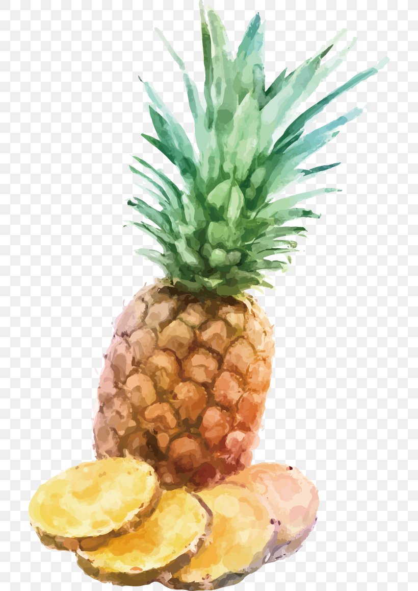 Pineapple Watercolor Painting INGE S.p.A Illustration, PNG, 711x1157px, Pineapple, Ananas, Auglis, Bromeliaceae, Drawing Download Free
